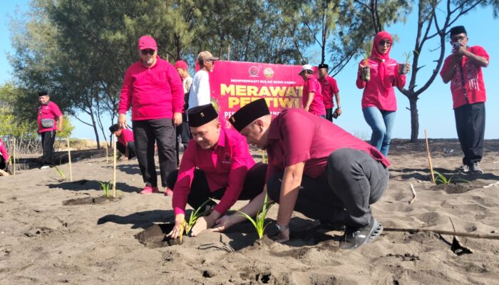 Hadapi Ancaman El Nino, PDIP Probolinggo Tanam Pandan Laut demi Selamatkan Pesisir