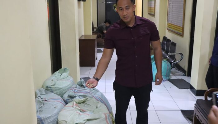 Demi Bayar Hutang, Tukang Bangunan di Magelang Diduga Curi Kapulaga Milik Majikan
