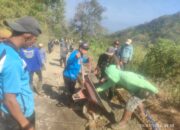 Kecewa Jalan Rusak, Warga Swadaya Tambal Jalan Wringinanom-Gajah Ponorogo