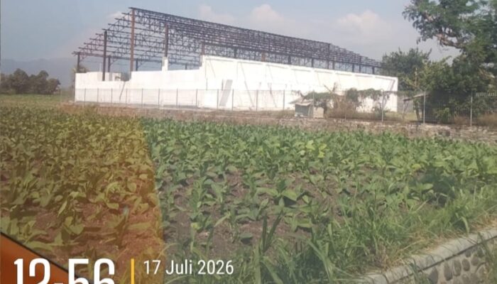 Proyek KDMP Desa Plampang Senilai Rp1,6 Miliar Mandek, Konsultan Sebut Penyebabnya Gonta-Ganti Tukang
