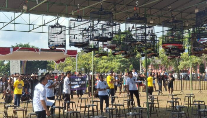 Ribuan Kicau Mania Ramaikan Bupati Cup Purworejo 2026