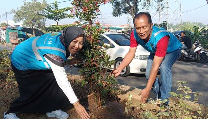 PLN UP3 Sidoarjo Berpartisipasi dalam Penanaman 644 Pohon Bersama Wakil Bupati, Perkuat Komitmen Pelestarian Lingkungan