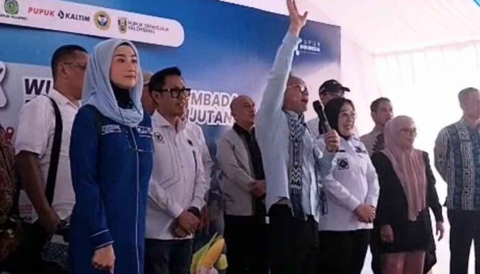 Zulkifli Hasan: Distribusi Pupuk Kini Lebih Mudah, Harga Turun 20 Persen untuk Petani