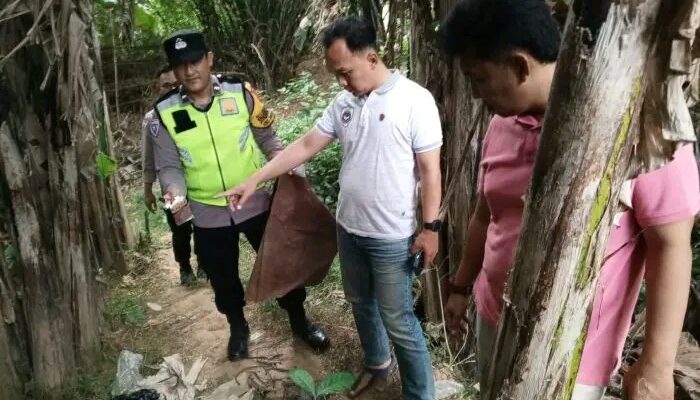 Arena Sabung Ayam di Pekalongan Bubar Sebelum Polisi Tiba