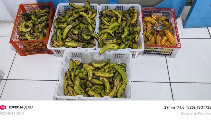 SPPG Paiton Berjaya Buka Suara, Tudingan Arogan ke Pemasok Buah Disebut Hanya Miskomunikasi