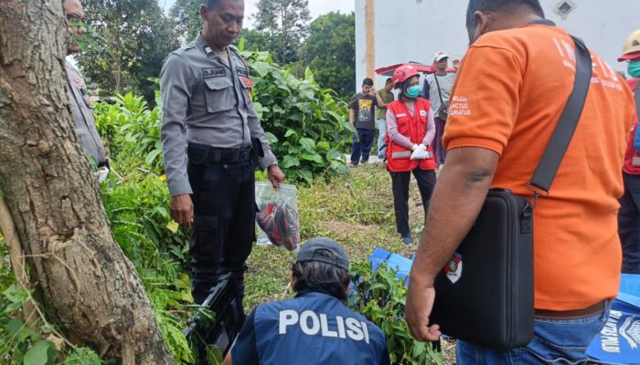 Pria 44 Tahun Ditemukan Meninggal di Lahan Kosong Sleman, Polisi Pastikan Tak Ada Tanda Kekerasan