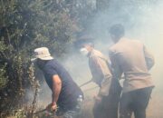 Karhutla Bromo Meluas ke Arah Ngadisari, Polisi Berjibaku Padamkan Dua Titik Api di Blok Seruni
