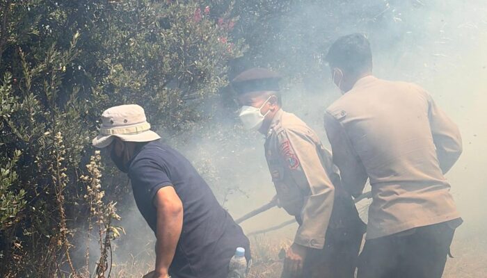 Karhutla Bromo Meluas ke Arah Ngadisari, Polisi Berjibaku Padamkan Dua Titik Api di Blok Seruni
