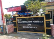 IRPOM Pace Disorot! Diduga Dikerjakan Pihak Tanpa Lisensi, Muncul Klaim “Yang Penting Putra Daerah”