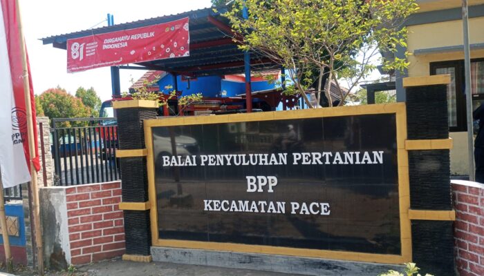 IRPOM Pace Disorot! Diduga Dikerjakan Pihak Tanpa Lisensi, Muncul Klaim “Yang Penting Putra Daerah”