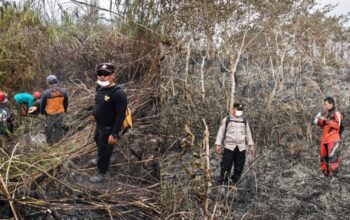 Lereng Merapi Terbakar, Petugas Gabungan Berjibaku Padamkan Api di Srumbung