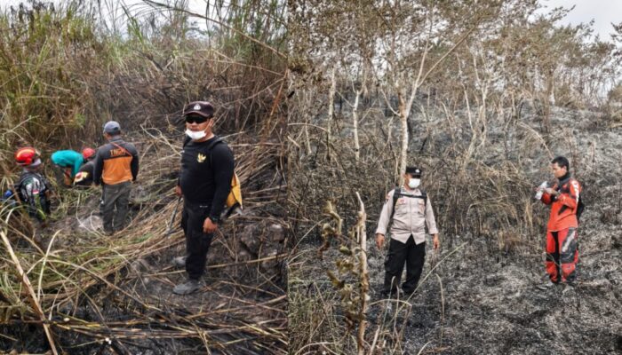 Lereng Merapi Terbakar, Petugas Gabungan Berjibaku Padamkan Api di Srumbung