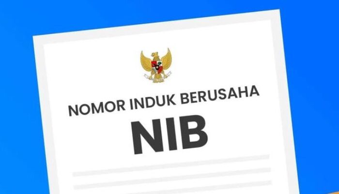 Apakah Bikin NIB Bayar? Ini Fakta Biaya dan Cara Mengurusnya