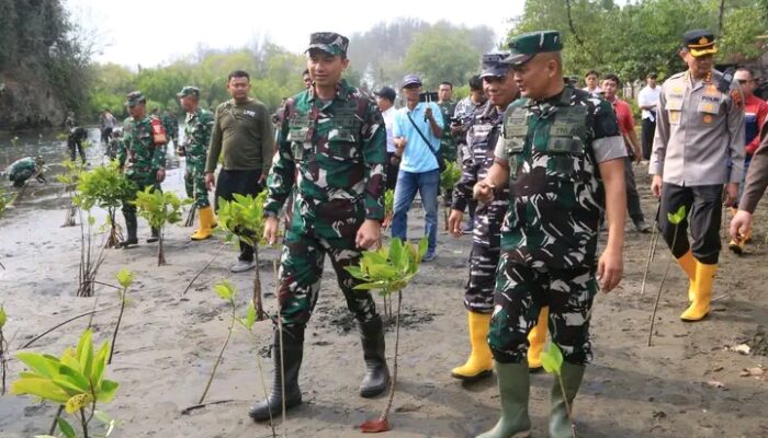 Cegah Abrasi dan Jaga Ekosistem Pesisir, Kodim 0703/Cilacap Tanam 1.000 Mangrove dan 100 Pohon Kopi