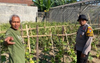 Polsek Balongbendo Gencarkan Pendampingan P2L, Dorong Warga Perkuat Ketahanan Pangan