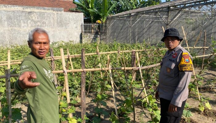Polsek Balongbendo Gencarkan Pendampingan P2L, Dorong Warga Perkuat Ketahanan Pangan