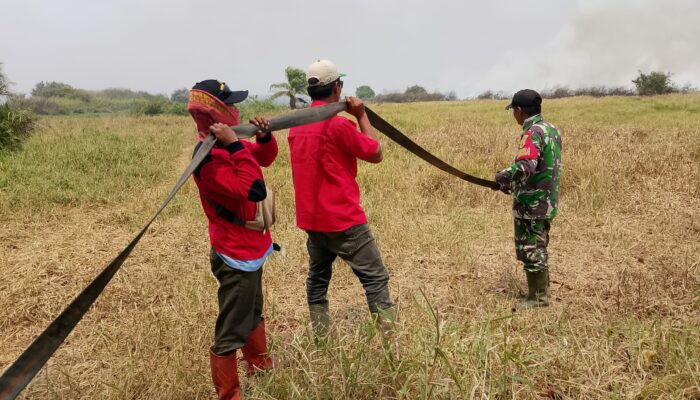 Pantang Menyerah, Babinsa Pedamaran Bersama RPK PT PAR Padamkan Karhutla