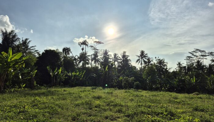 Unsoed Sulap Lahan Tidur Karangsalam Kidul Jadi “Smart Village” Berbasis Agroindustri Kelapa