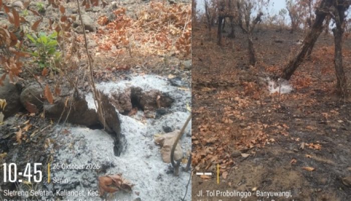 Kebakaran Hutan Seletreng Selatan, MADAS Serumpun Desak Perhutani Setop Pengelolaan dan Siapkan Laporan ke Polisi