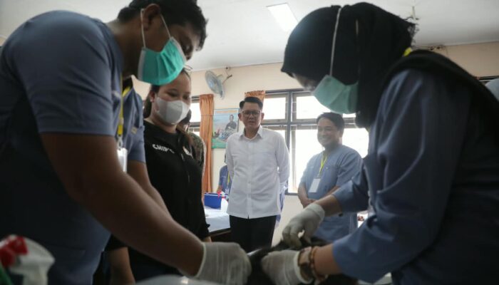 Peringati Hari Rabies Internasional, Pemkab Sleman Gelar Vaksinasi Rabies Gratis