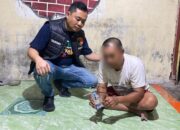 Razia Tempat Hiburan Malam di Situbondo, Polisi Temukan Dua Klip Diduga Sabu