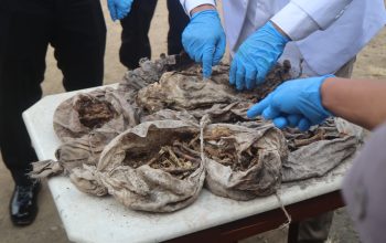 Benda Diduga Tulang Manusia di Magelang Dipastikan Tulang Hewan