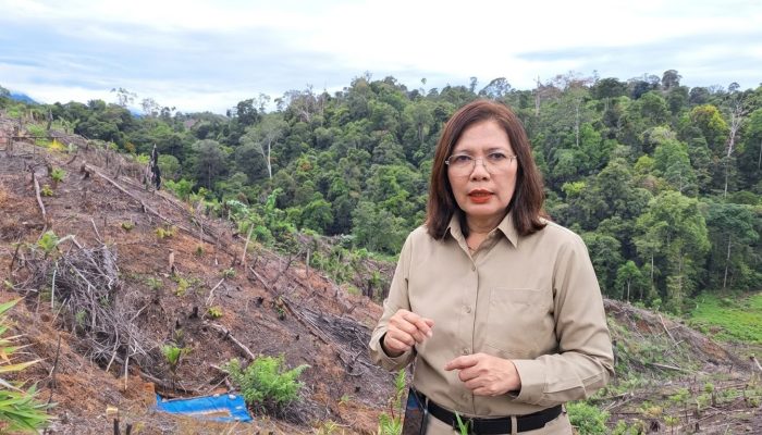 UU Reforma Agraria Buka Peluang Pemulihan Hak Warga dalam Konflik Pertanahan