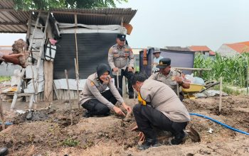 Polresta Sidoarjo Dorong Budidaya Uwi Ungu, Perkuat Ketahanan Pangan dan Green Policing