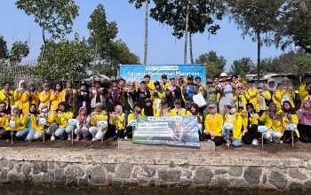 UT Purwokerto dan Ormawa SALUT Tegal Tanam 350 Mangrove di Pantai Batam Sari