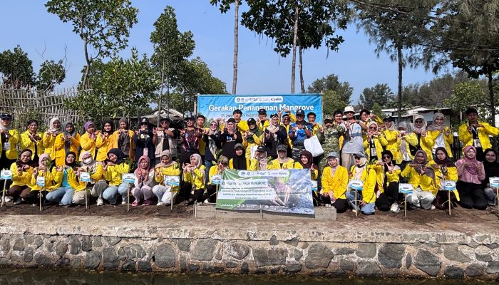UT Purwokerto dan Ormawa SALUT Tegal Tanam 350 Mangrove di Pantai Batam Sari