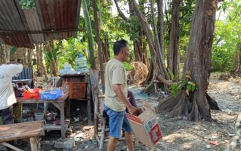 Tindak Lanjuti Aduan Sabung Ayam, Polsek Sukodono Datangi Lokasi di Desa Bangsri
